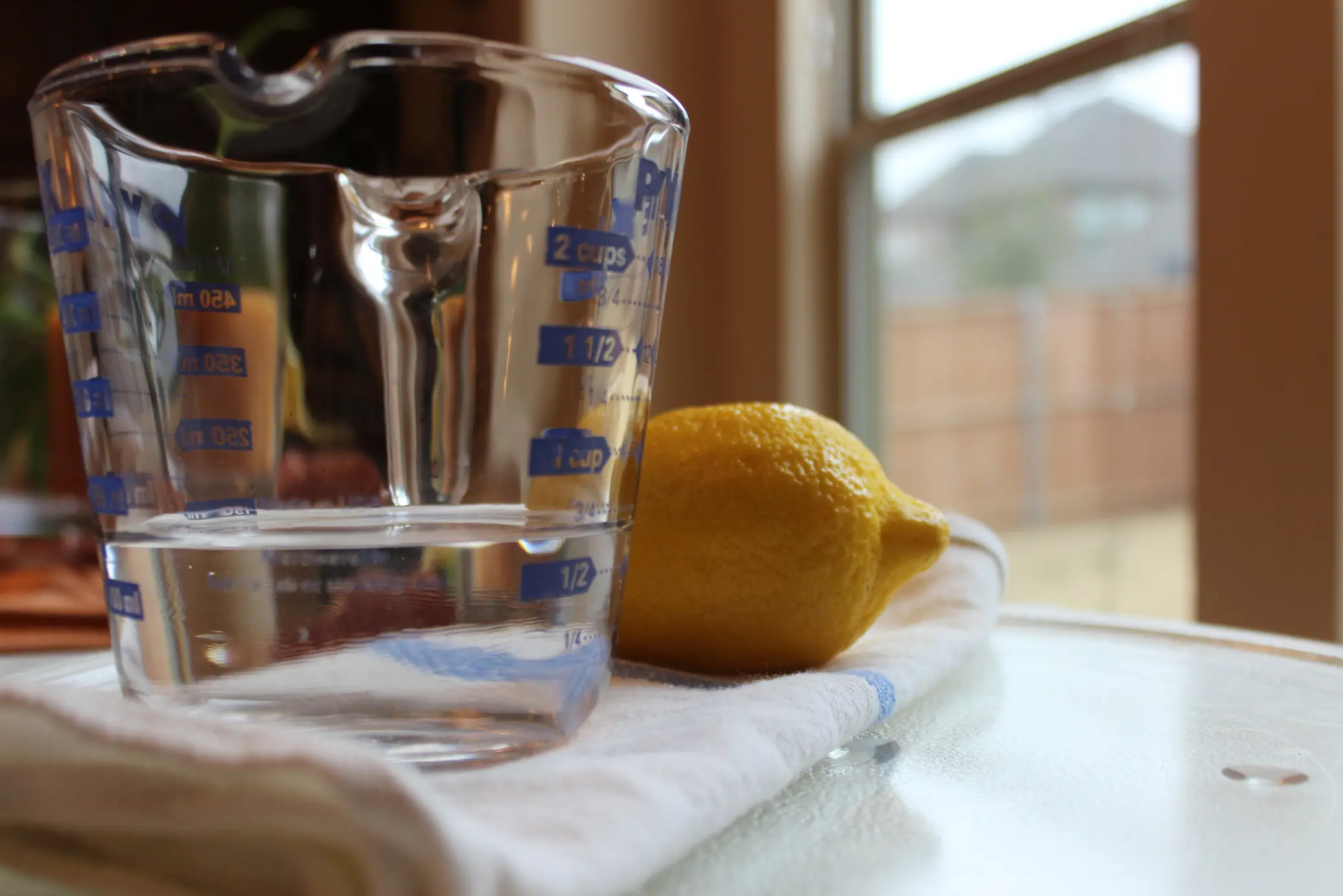 Lemon, Water & a Dirty Microwave!