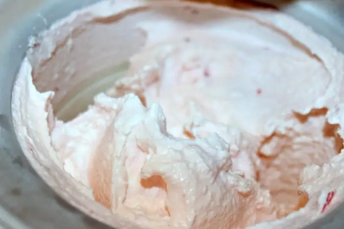 Burnt Macaroni - Peppermint Ice Cream 101ab