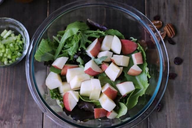 Apple Brie Salad with Ginger Dressing 