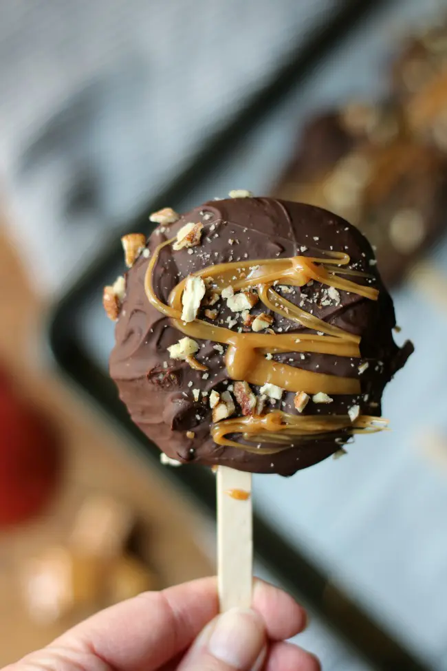 chocolate-dipped-apple-slices