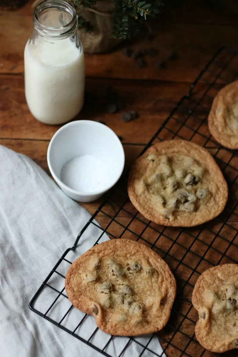 chocolate-chip-biscuits