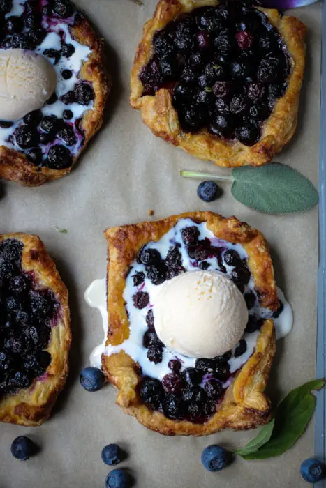 Mini blueberry tart with vanilla ice cream.